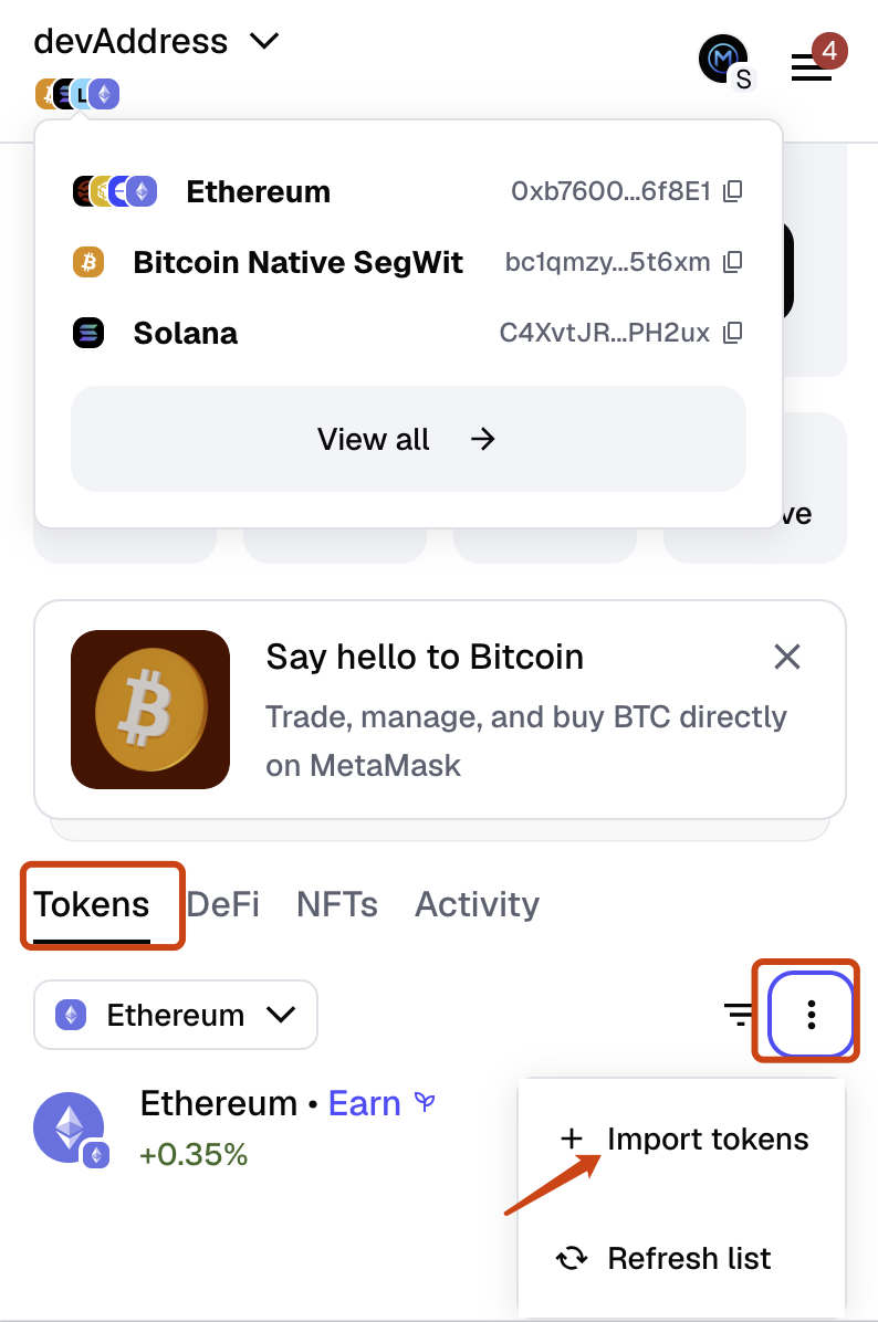 MetaMask Import tokens